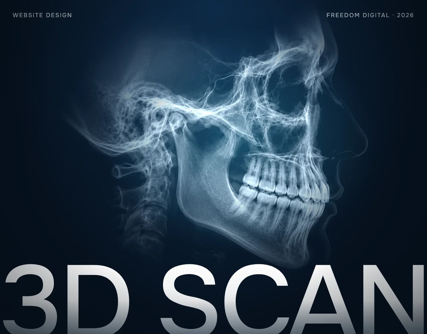 3D SCAN — рентгеновский снимок черепа, обложка сайта диагностического центра